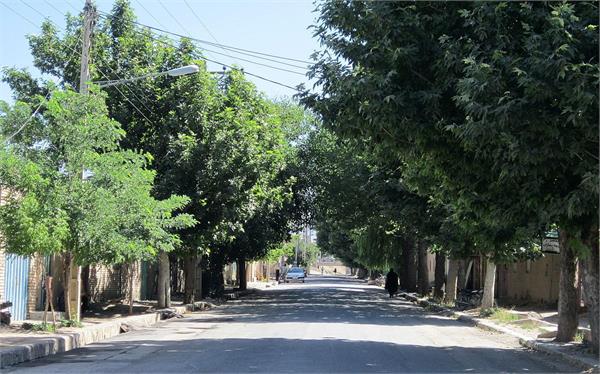 1637 نفر از روستاییان زبرخان، به فناوری های نوین ارتباطی مجهز شدند