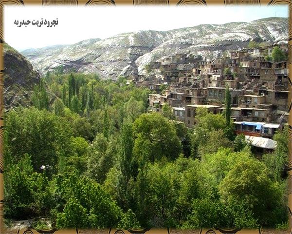 48 خانوار روستایی شهرستان تربت حیدریه از خدمات شبکه ملی اطلاعات بهره مند شدند